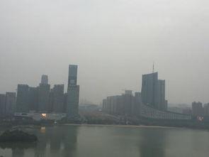 合肥天鹅湖最新爆料电话,神秘电话揭开生态保护区新篇章